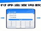 支付宝搜索“养老保险”，查你退休能领多少钱