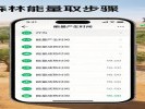支付宝“蚂蚁森林”能量，定时收取有技巧