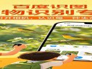 百度“识图”找植物、动物、名画