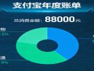 查了一下年度账单，才发现自己这么有钱？