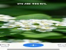 百度“拍照识花”一秒知道植物名字